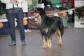 phoca_thumb_l_img_2498