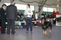 phoca_thumb_l_img_2499