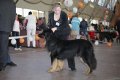 phoca_thumb_l_img_2503