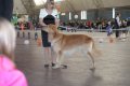 phoca_thumb_l_img_2518