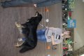 phoca_thumb_l_img_2520