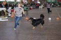 phoca_thumb_l_img_2523