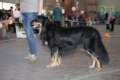 phoca_thumb_l_img_2527