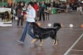 phoca_thumb_l_img_2534