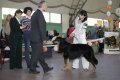 phoca_thumb_l_img_2539