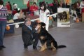phoca_thumb_l_img_2540