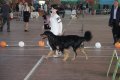 phoca_thumb_l_img_2544