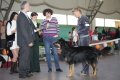 phoca_thumb_l_img_2547