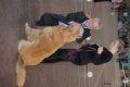 phoca_thumb_l_img_2557