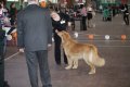 phoca_thumb_l_img_2561
