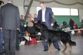 phoca_thumb_l_img_2572