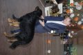 phoca_thumb_l_img_2577