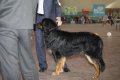 phoca_thumb_l_img_2579