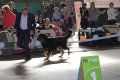 phoca_thumb_l_img_2591