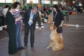 phoca_thumb_l_img_2604