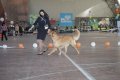 phoca_thumb_l_img_2607