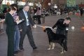 phoca_thumb_l_img_2609