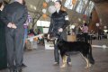 phoca_thumb_l_img_2616