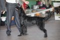 phoca_thumb_l_img_2623
