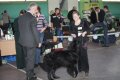 phoca_thumb_l_img_2632