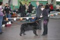phoca_thumb_l_img_2634
