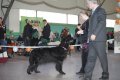 phoca_thumb_l_img_2635