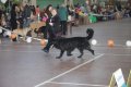 phoca_thumb_l_img_2639