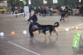 phoca_thumb_l_img_2643