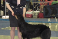 Gela_1_01-10-52
