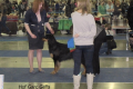 Gela_2_01-19-08