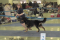 Gela_3_01-17-30