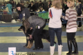 Laura_1_02-11-14