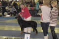 Miranda_1_01-52-49