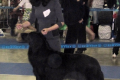 Odin_2_02-04-02