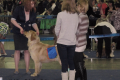 Ostin_1_02-06-58