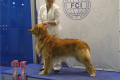 evr2014_21_19-53-58