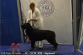 evr2014_23_19-02-20