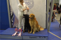 evr2014_24_19-55-47