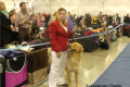 evr2014_6_19-58-30