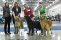 evr2014_8_20-02-01