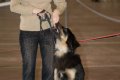 phoca_thumb_l_n_9672
