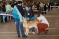 phoca_thumb_l_n_9690