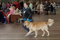 phoca_thumb_l_n_9694
