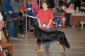 phoca_thumb_l_n_9704