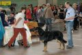 phoca_thumb_l_n_9740