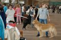 phoca_thumb_l_n_9763