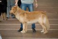 phoca_thumb_l_n_9764