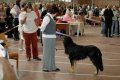 phoca_thumb_l_n_9769