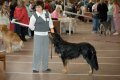 phoca_thumb_l_n_9771