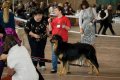 phoca_thumb_l_n_9801